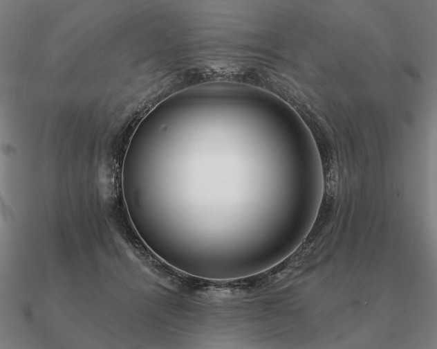 X0000090930464200708061606