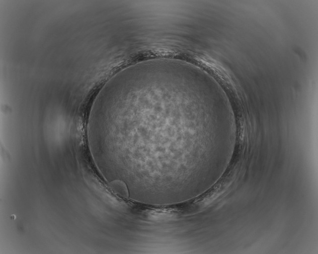 X0000090930465200708061606