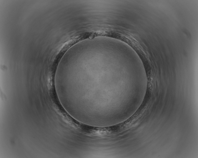 X0000090930466200708061606