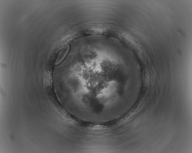 X0000090930467200708061606