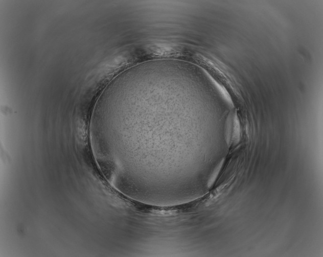 X0000090930469200708061606