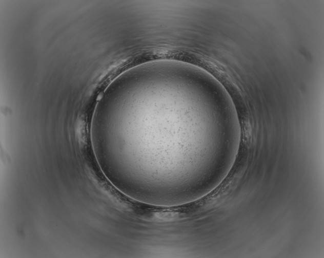 X0000090930470200708061606