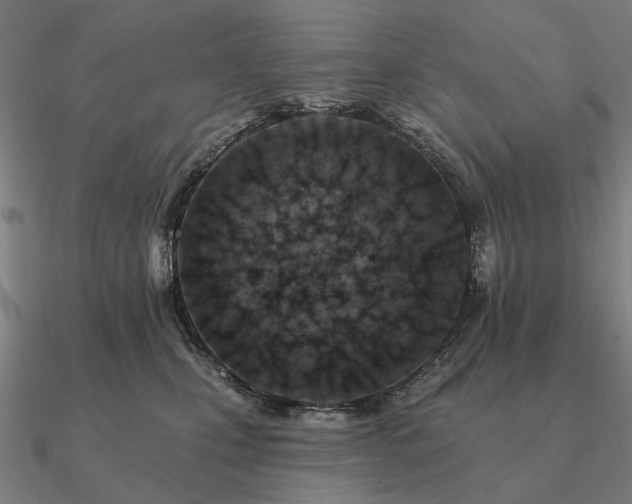 X0000090930471200708061606