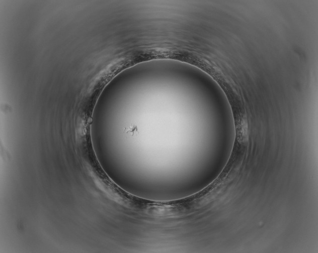 X0000090930472200708061606