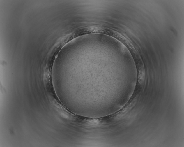 X0000090930473200708061606