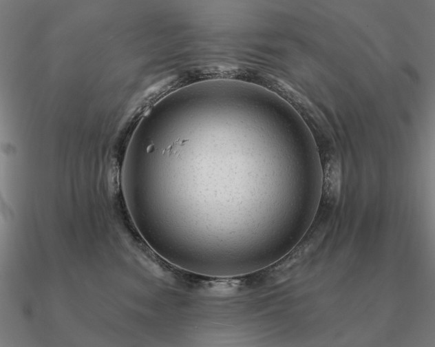 X0000090930474200708061606