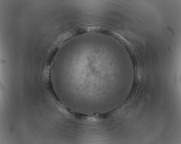 X0000090930475200708061606