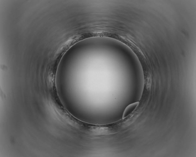 X0000090930476200708061606