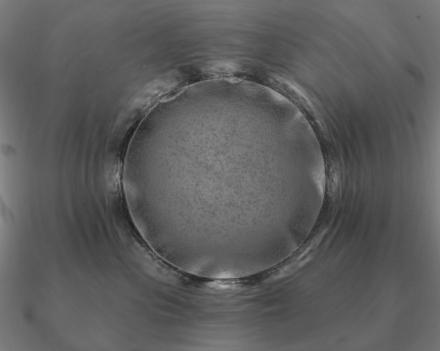 X0000090930477200708061606