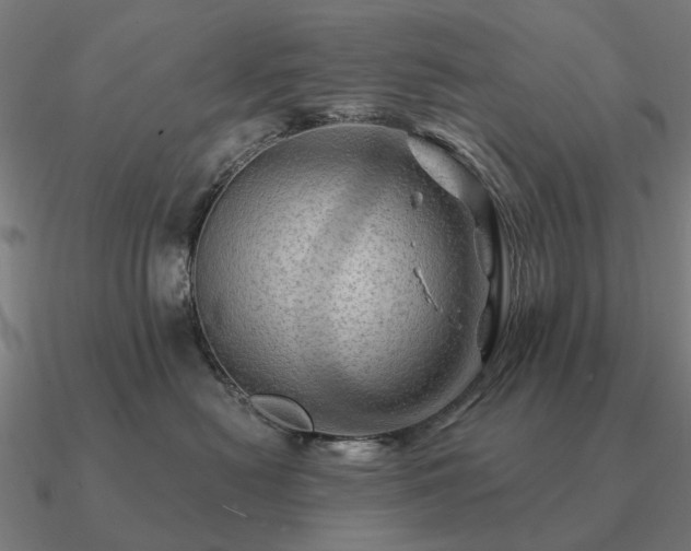 X0000090930478200708061606