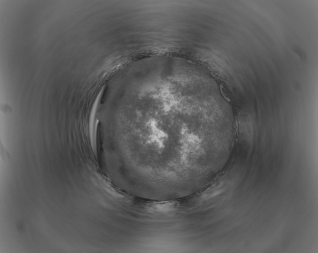 X0000090930479200708061606