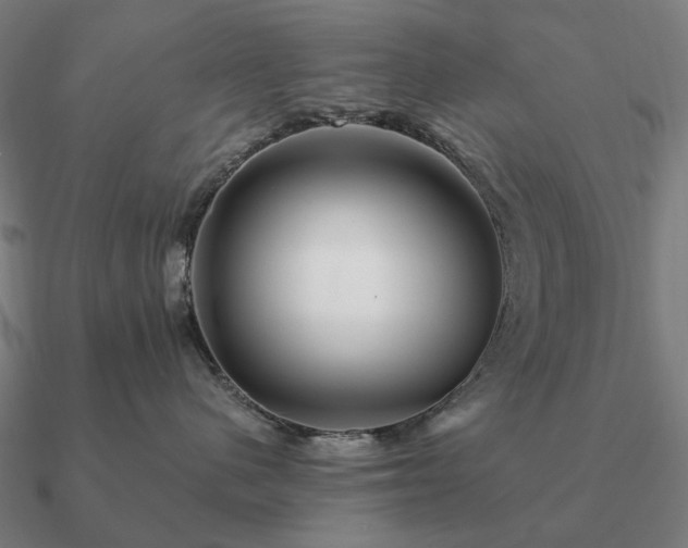 X0000090930480200708061606