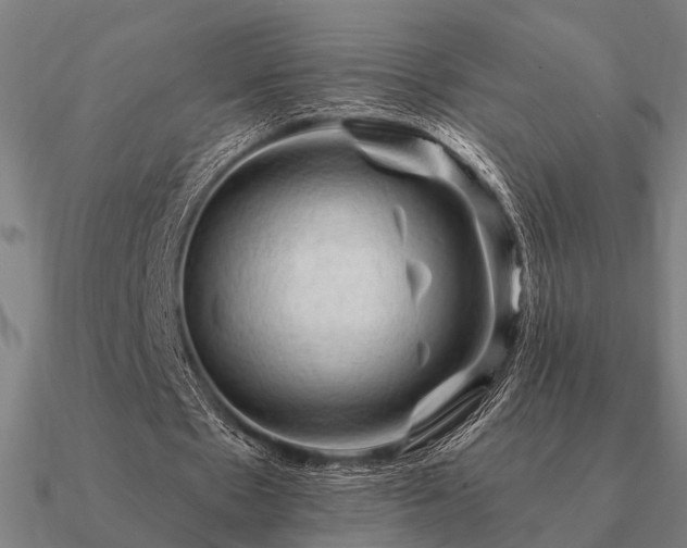 X0000090930481200708061606