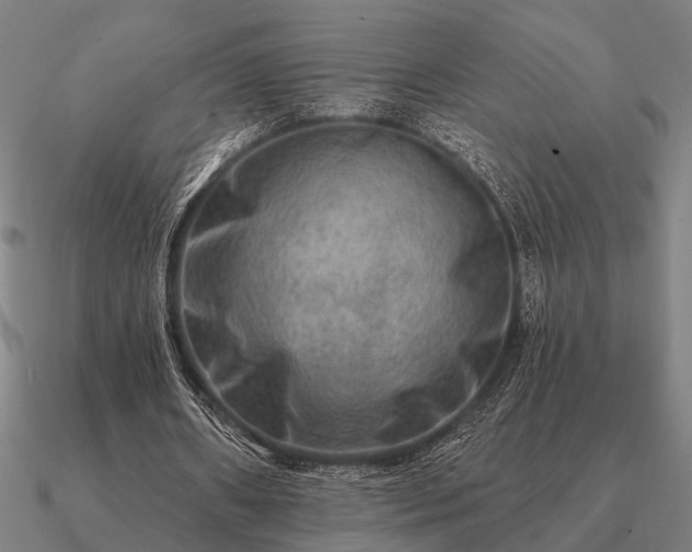 X0000090930482200708061606