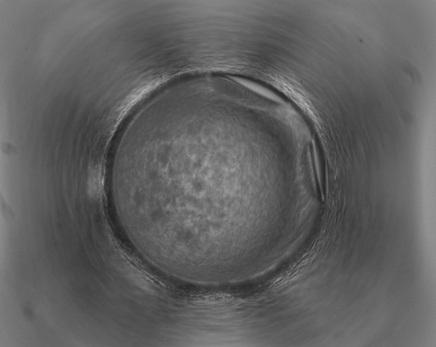 X0000090930483200708061606