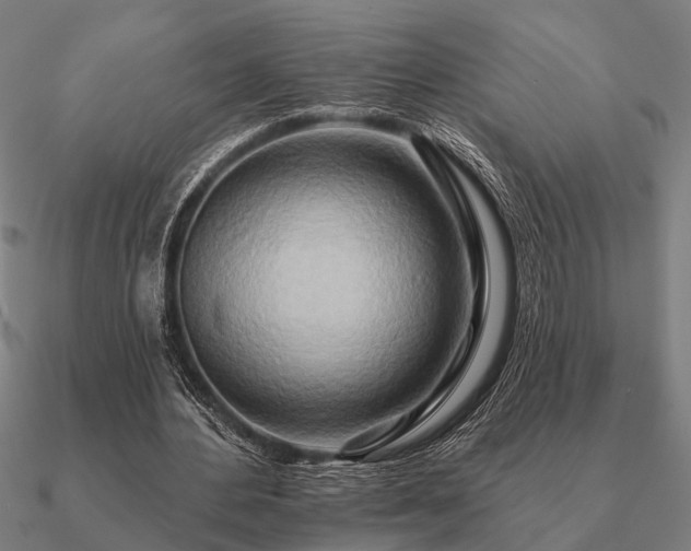 X0000090930484200708061606