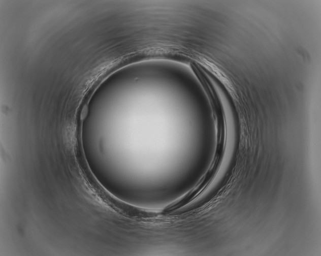 X0000090930485200708061606