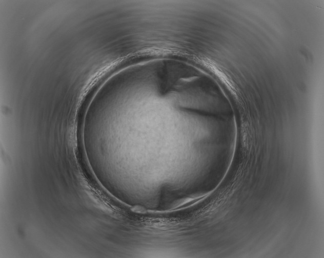 X0000090930486200708061606