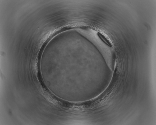 X0000090930487200708061606