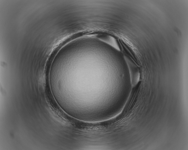 X0000090930488200708061606