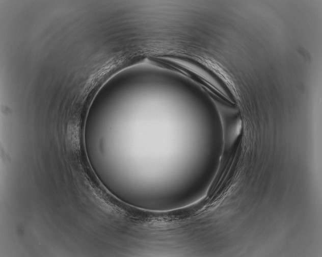 X0000090930489200708061606