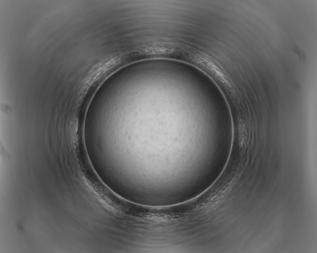 X0000090930490200708061606