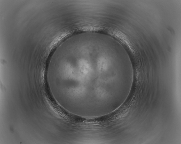 X0000090930491200708061606