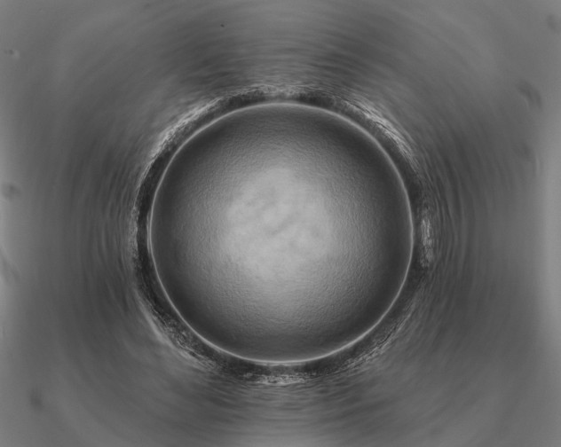 X0000090930492200708061606