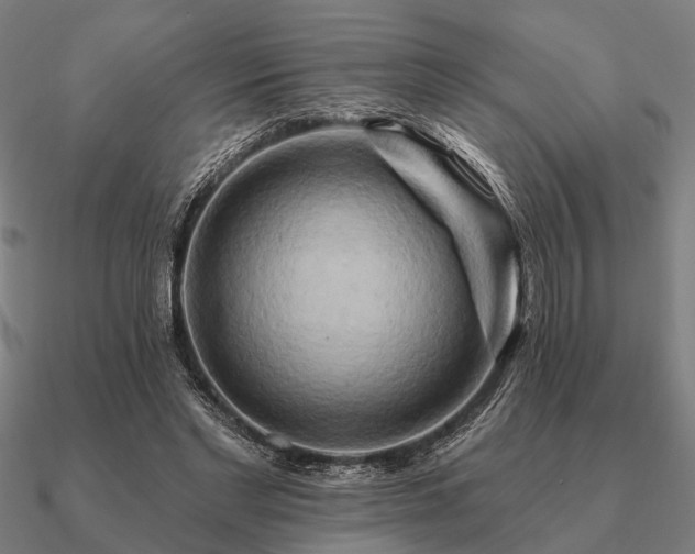 X0000090930493200708061606