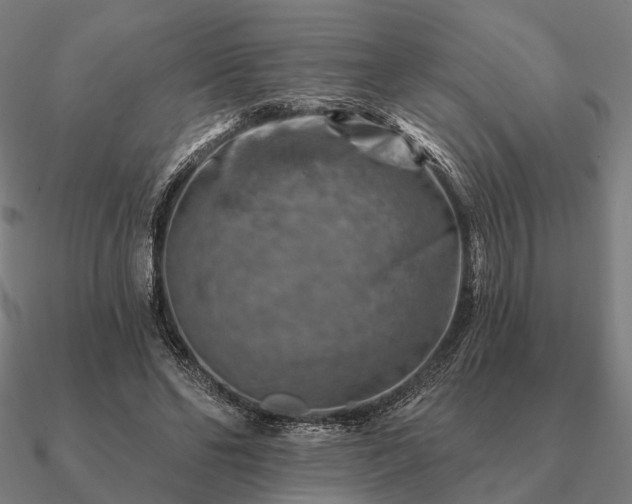 X0000090930494200708061606