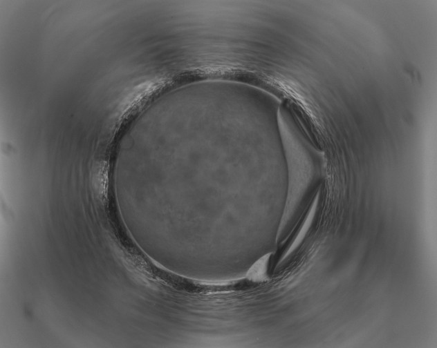 X0000090930495200708061606