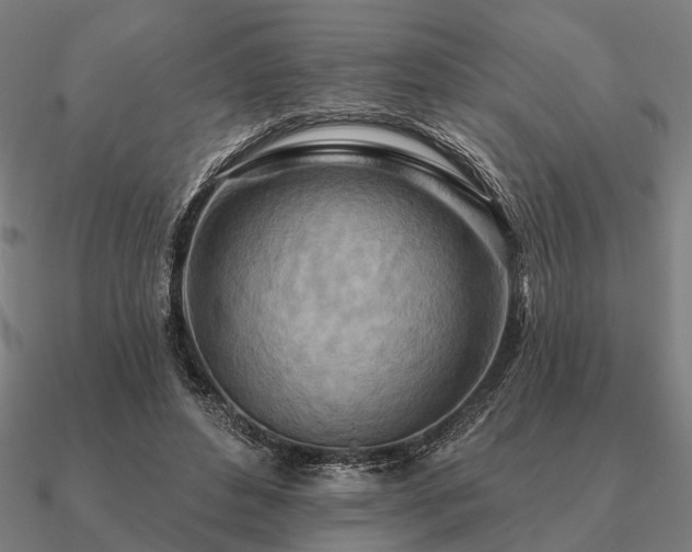 X0000090930496200708061606