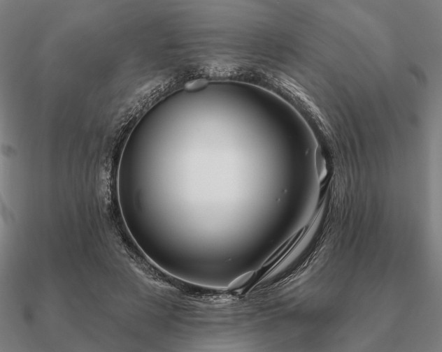 X0000090930497200708061606