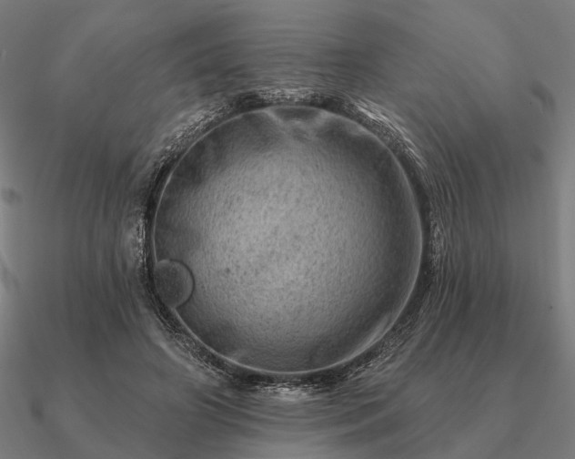 X0000090930498200708061606