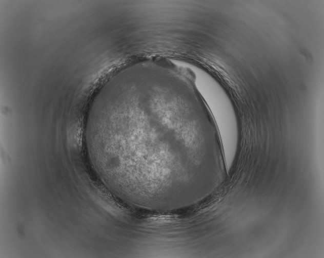 X0000090930499200708061606