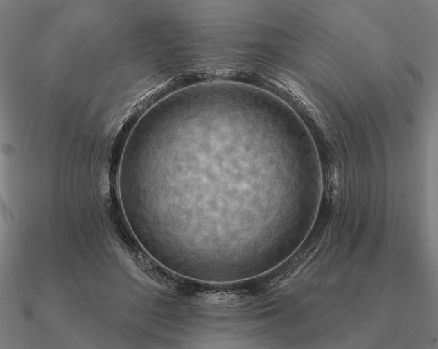 X0000090930500200708061606