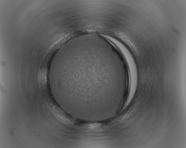 X0000090930501200708061606