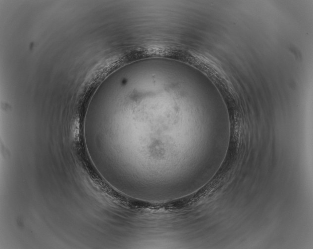 X0000090930502200708061606