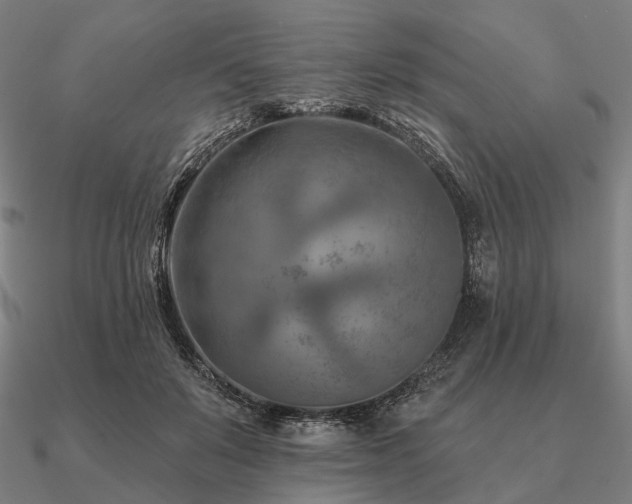 X0000090930503200708061606