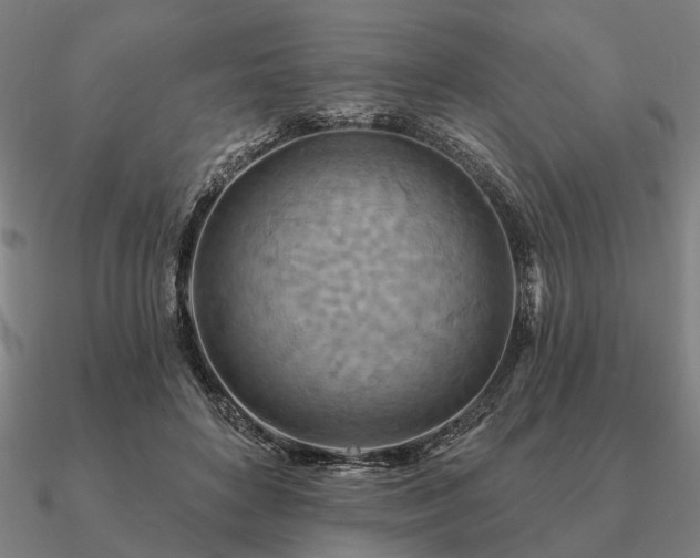 X0000090930504200708061606