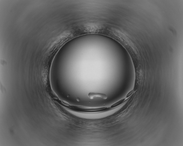 X0000090930505200708061606