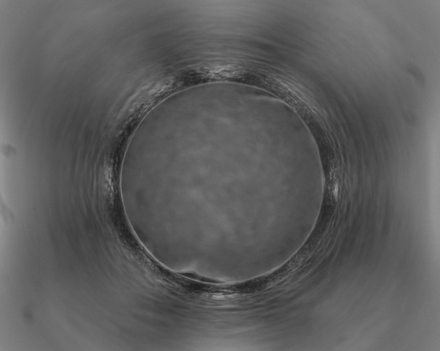 X0000090930506200708061606