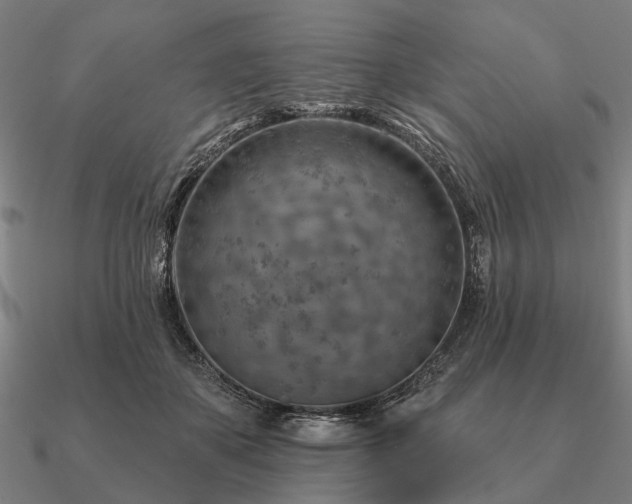 X0000090930507200708061605