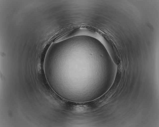 X0000090930508200708061605