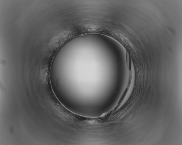 X0000090930509200708061605