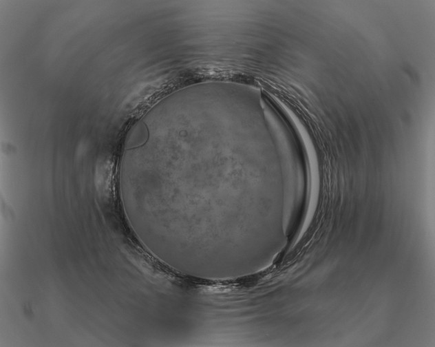 X0000090930511200708061605