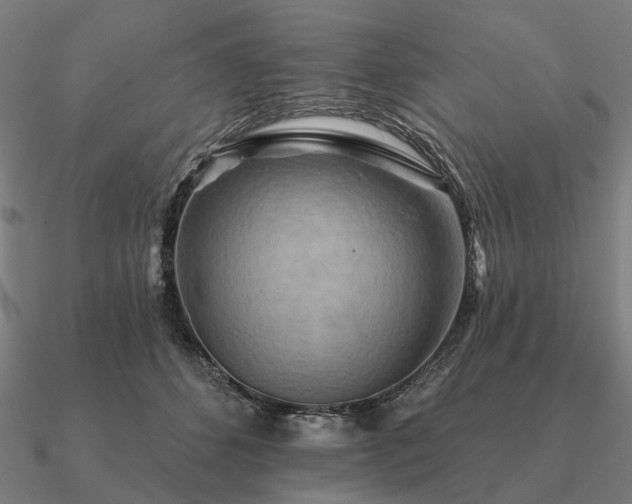 X0000090930512200708061605