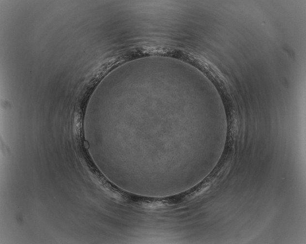 X0000090930513200708061605