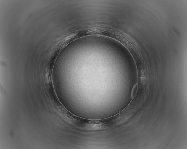 X0000090930514200708061605