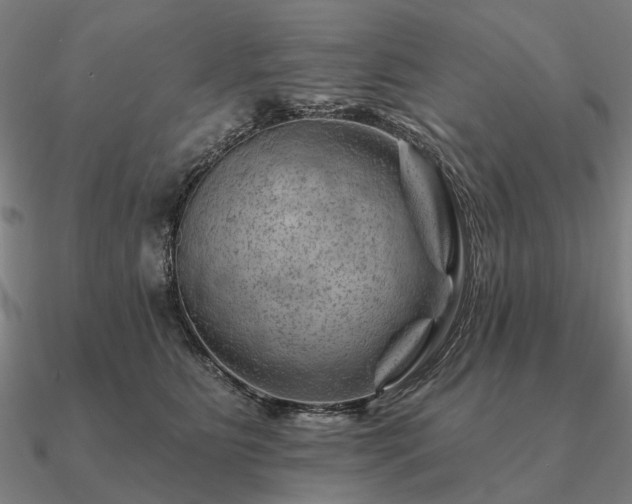 X0000090930515200708061605